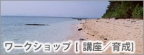 ワークショップ