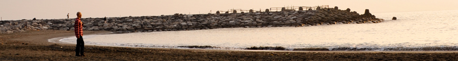profile
